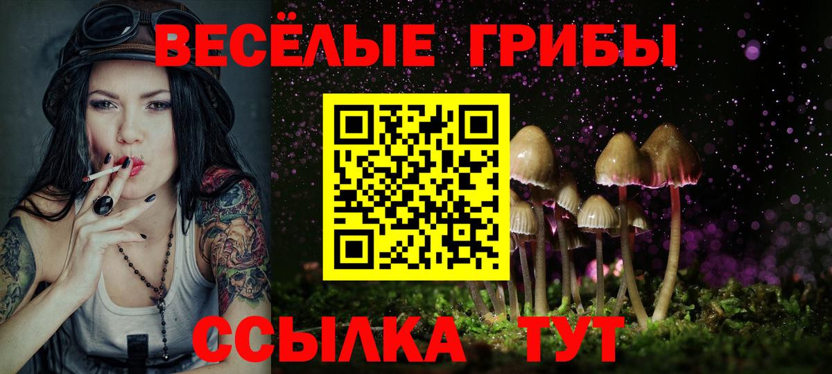 Новочеркасск  Галлюциногенные грибы Psilocybe  Псилоцибиновые грибы Psilocybine cubensis  Вход с VPN 